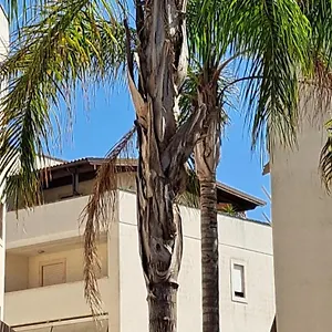 Un Di Casa , Lecce Italia